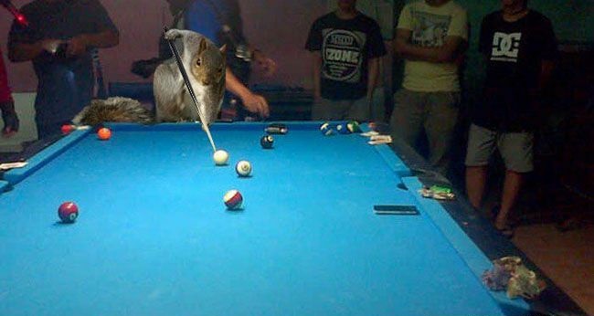 14_132353057504506250.jpg