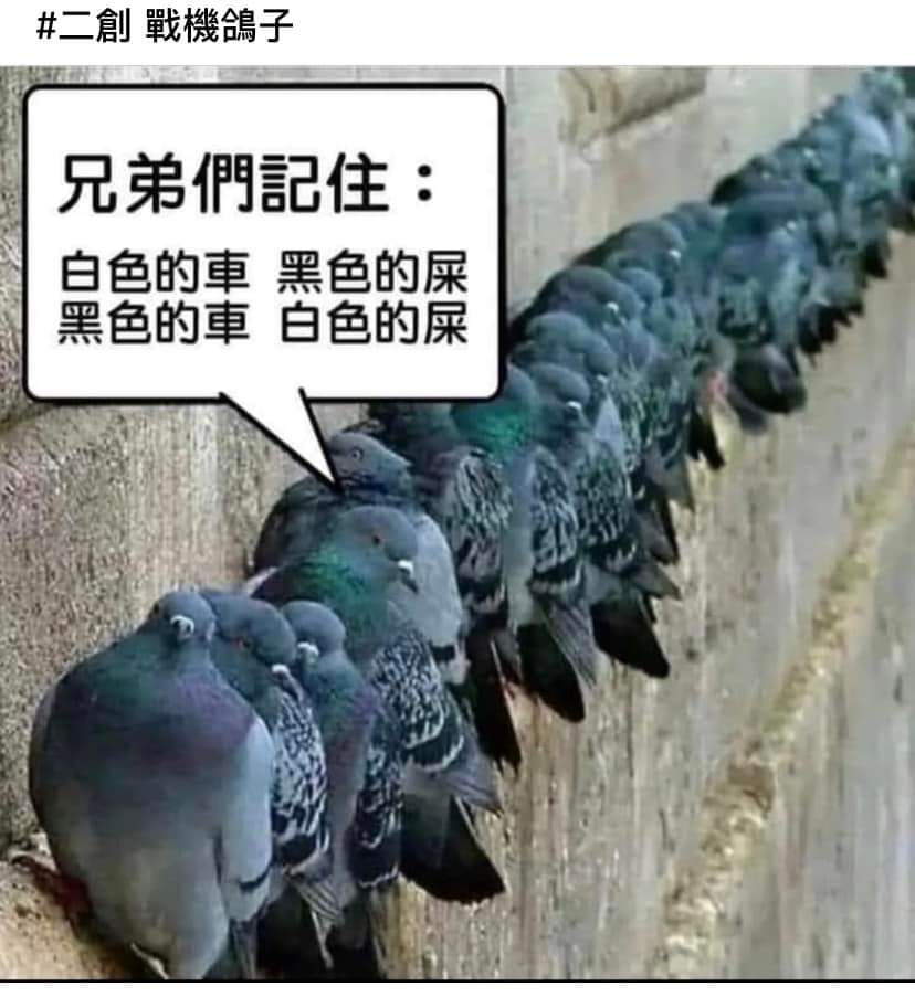 FB_IMG_1678835535862.jpg