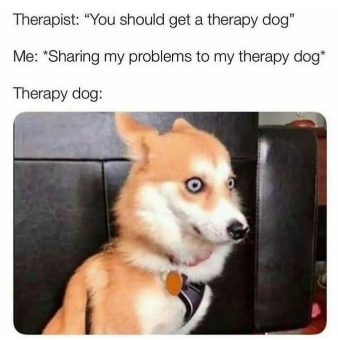 Therapy Dog - Copy.jpg