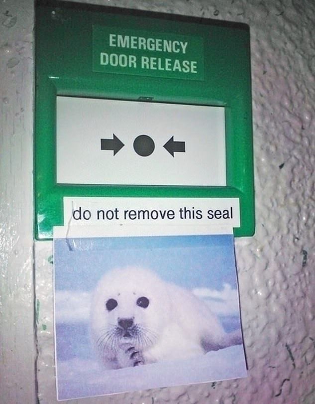 Emergency Door Release - Copy.jpg