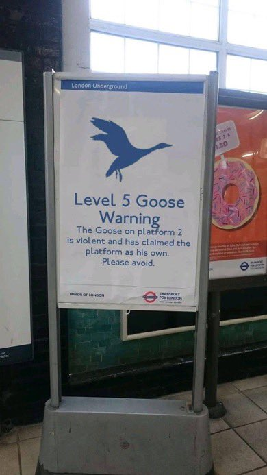 Goose Warning - Copy.png