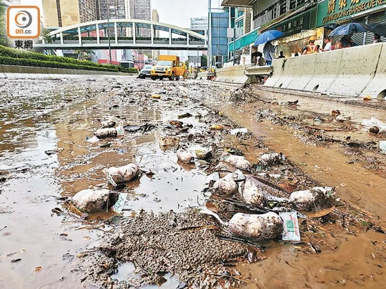 2  本港多處水浸，災後路面一片狼藉。（陳德賢攝）.jpg