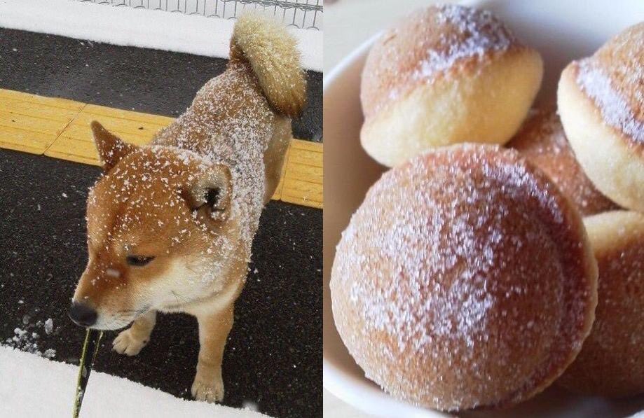 Dog Pastry - Copy.jpg