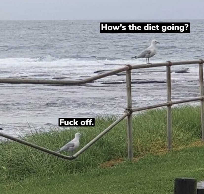 Diet - Copy.jpg