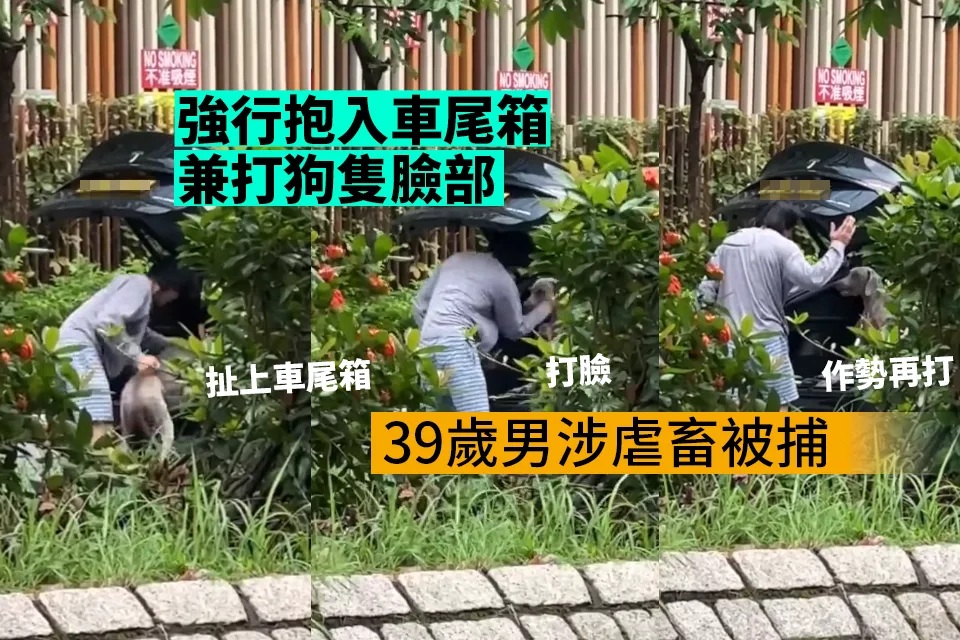 男子疑強抱狗隻到車尾箱並拍打 涉殘酷對待動物被捕.jpg