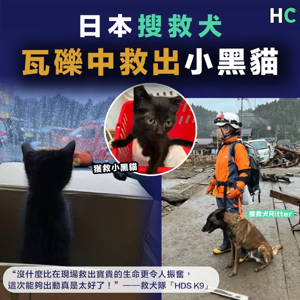 【日本地震】搜救犬瓦礫中救出小黑貓 「沒什麼比救出寶貴生命更令人振奮」.jpg.jpg