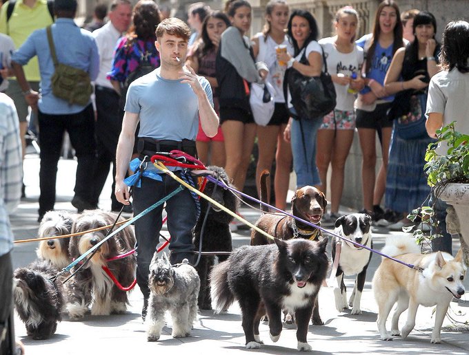 Uber Dog Walker - Copy.jpg