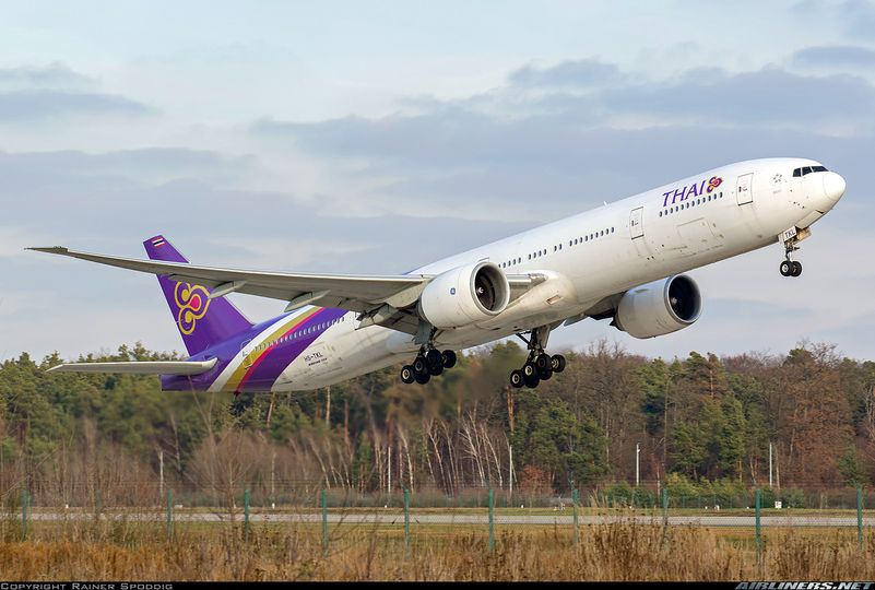 Thai Airways   -  103.jpg