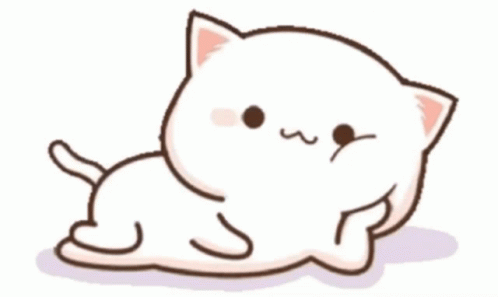 cat-cats.gif