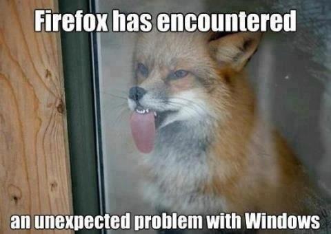 Firefox_Windows - Copy.jpg