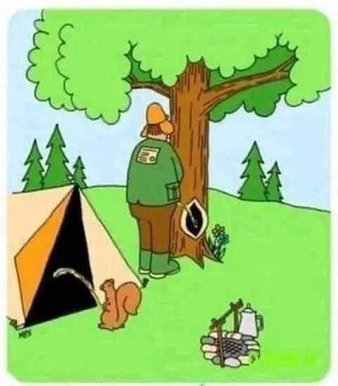 Camping - Copy.jpg