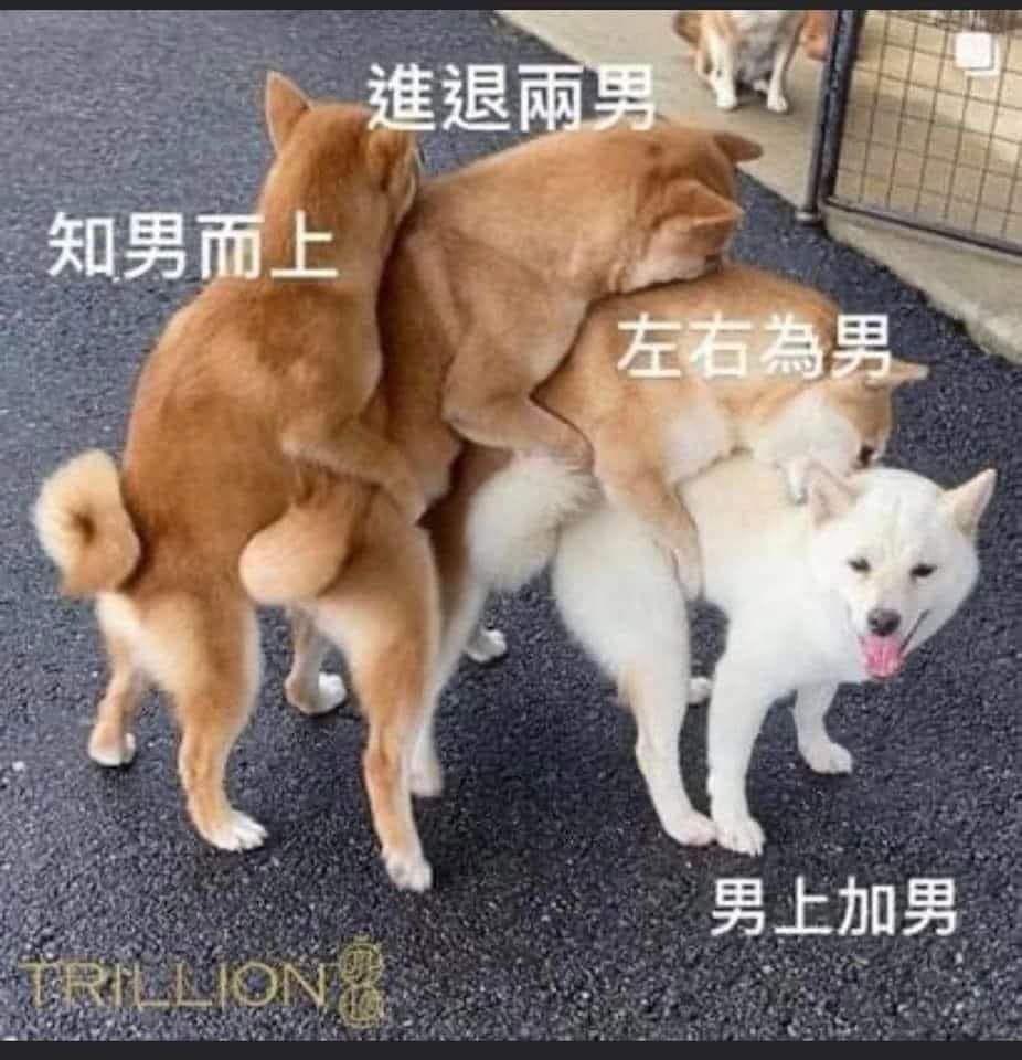 FB_IMG_1675772870228.jpg