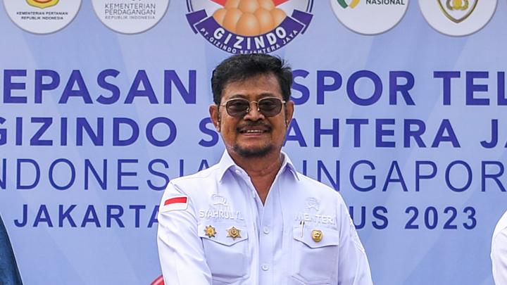 Syahrul Yasin Limpo.jpg