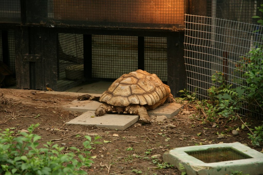 動植物公園9.JPG