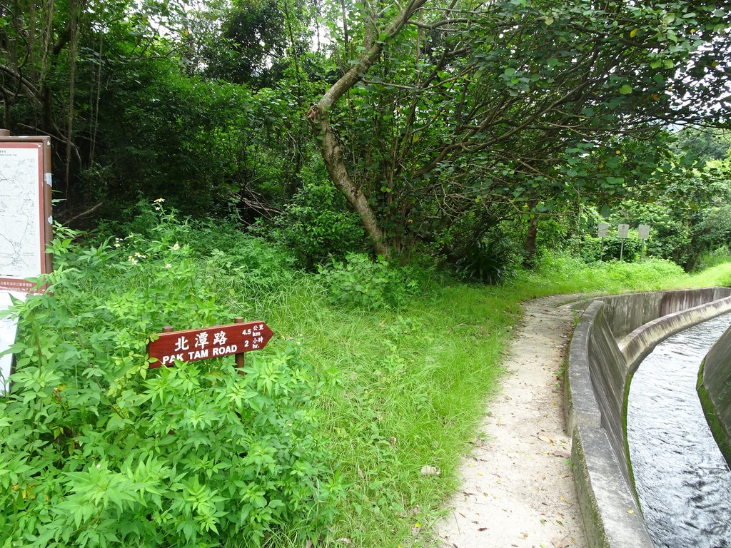 荔枝角公園7.JPG