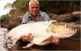 goliath-tigerfish-324x205.jpg