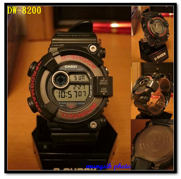 DW-8200(FROGMAN).jpg