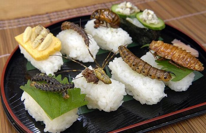 insect_sushi_01.jpg