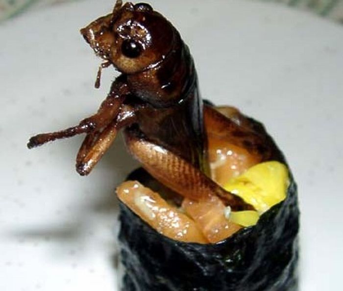 insect_sushi_02.jpg