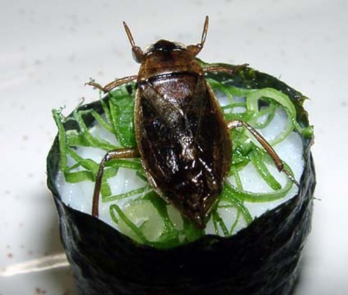 insect_sushi_03.jpg