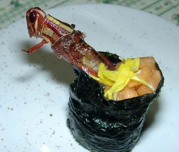 insect_sushi_04.jpg