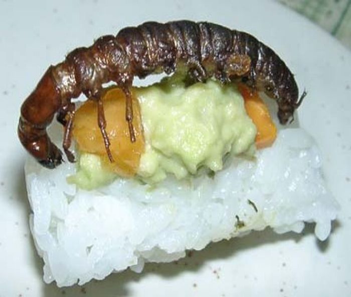 insect_sushi_06.jpg