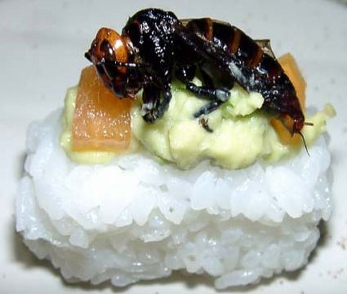 insect_sushi_08.jpg