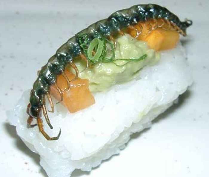 insect_sushi_09.jpg