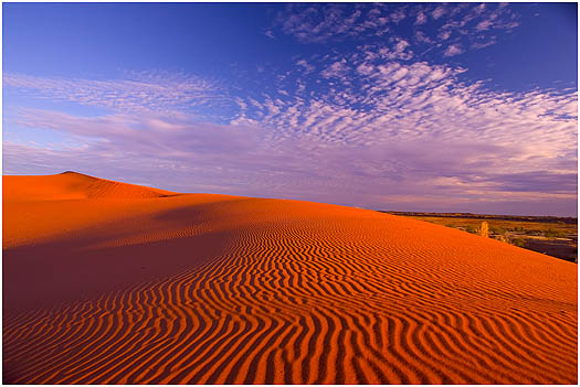 Simpson-Desert.jpg