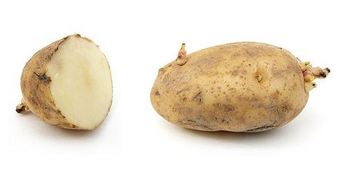 potatoes.jpg