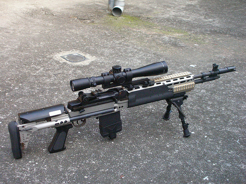 M14 EBR.jpg