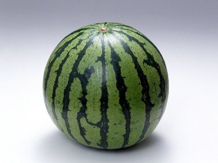 WatermelonS.jpg