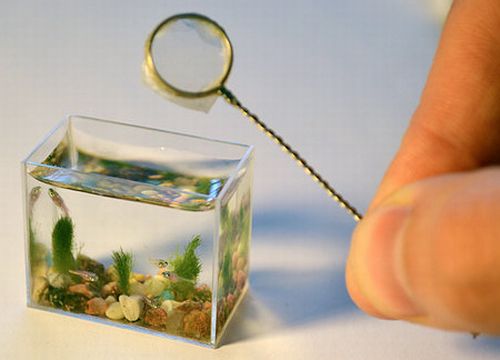 Anatoly-Konenko-smallest-aquarium1.jpg