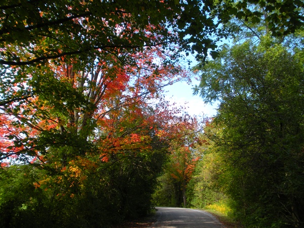 the path near the parking lot of the trail