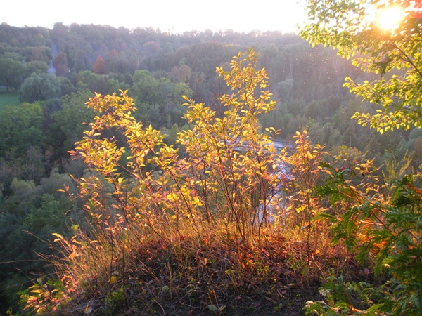 on the top of the hill, along the hiking trail