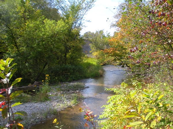 small stream flowing