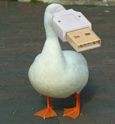 goose-usb-drive.jpg