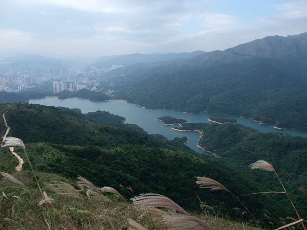 城門郊野公園.jpg