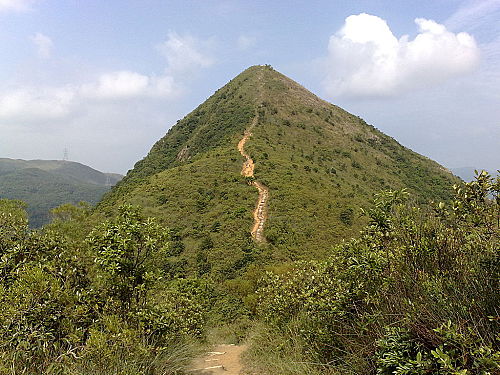 針山.jpg