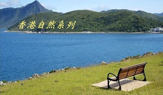 香港郊野公園.jpg