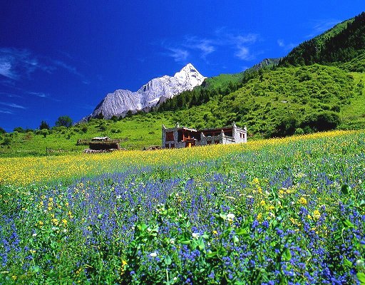 四姑娘山.jpg