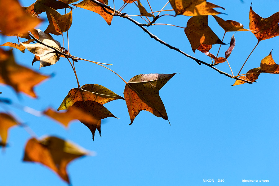 DSC_5412.jpg