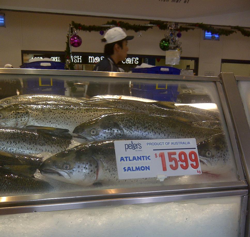 Fish Market