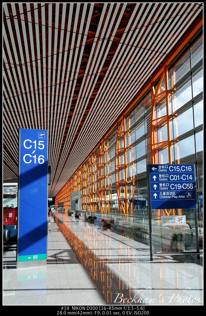 IntlAirport-19.jpg