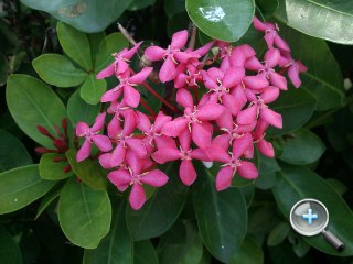 skydragon_4_SonyEricsson-Xperia-active_5d605cbb2b2f768f0c2f6dc4f1b957d7.JPG