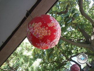 skydragon_4_SonyEricsson-Xperia-active_aeeceb2f736bdffde8fe77639d22ea30.JPG