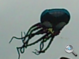 skydragon_4_SonyEricsson-Xperia-active_8233f85166731e5d5bb8a4584fc21a74.JPG