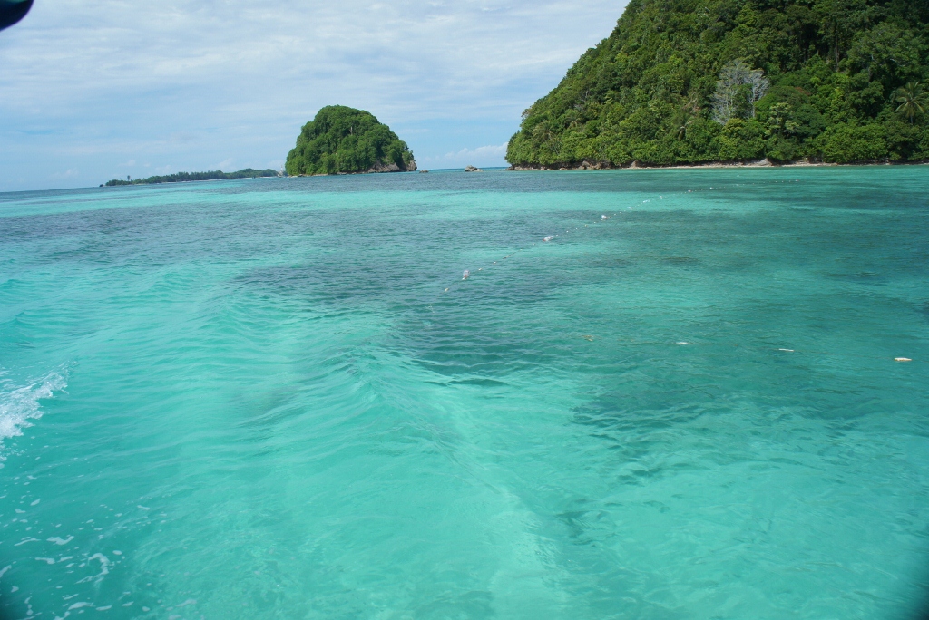 DSC01727 (1024x684).jpg