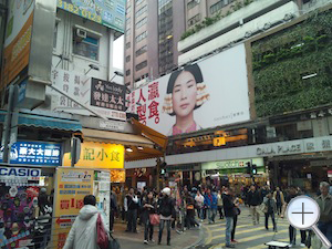 sharpsh01d_pic03s.jpg