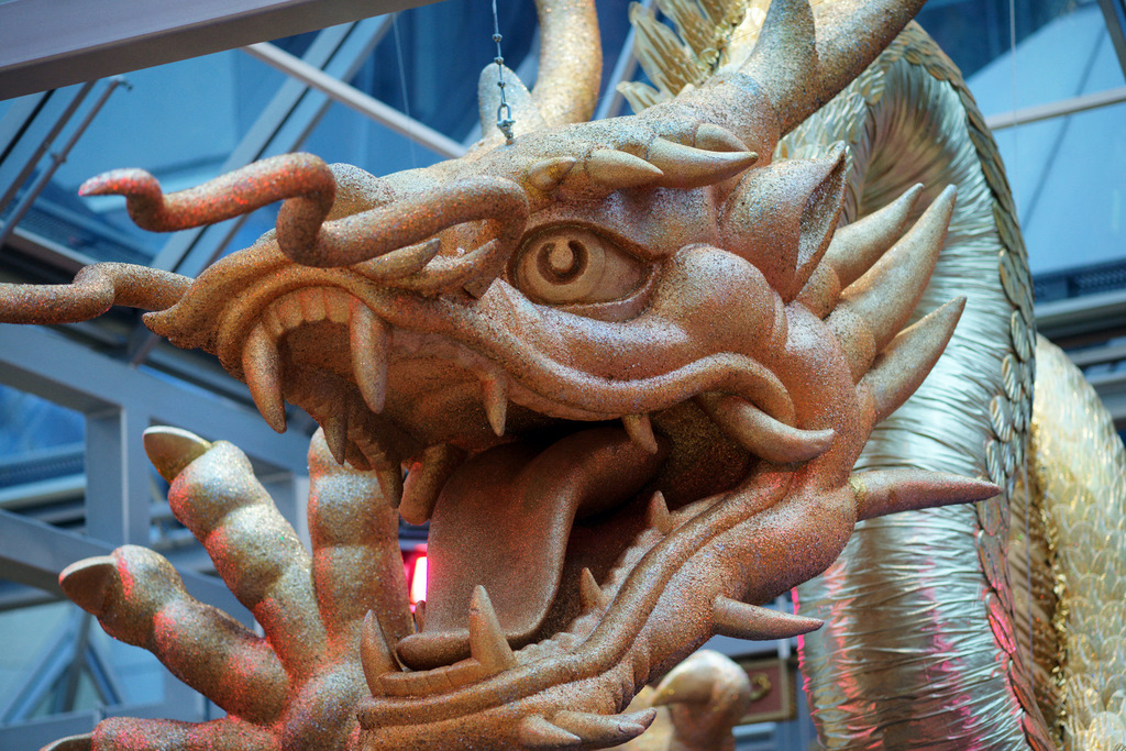 DSC08252-1.JPG